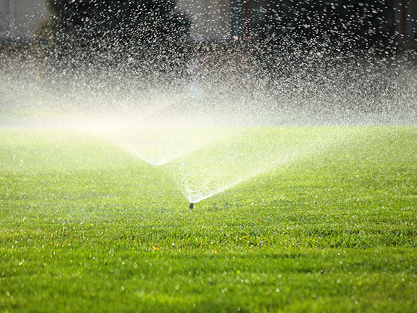 Kelowna and surrounding area lawn and garden irrigation services