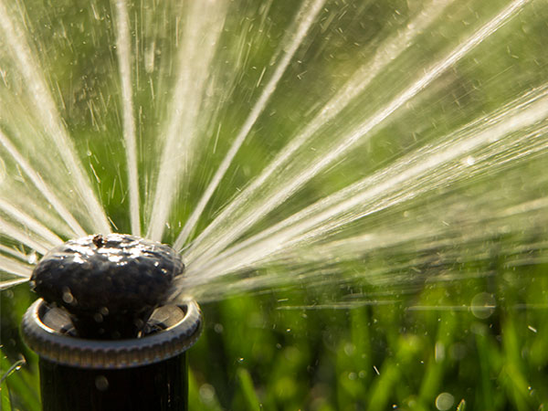 Contact Optimum Irrigation Repair in Kelowna.