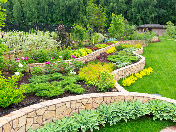 the image alt text here