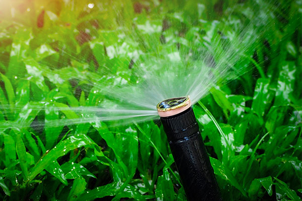 Contact Dennis Clark, Optimum Irrigation serving Kelowna and surrounding locations.