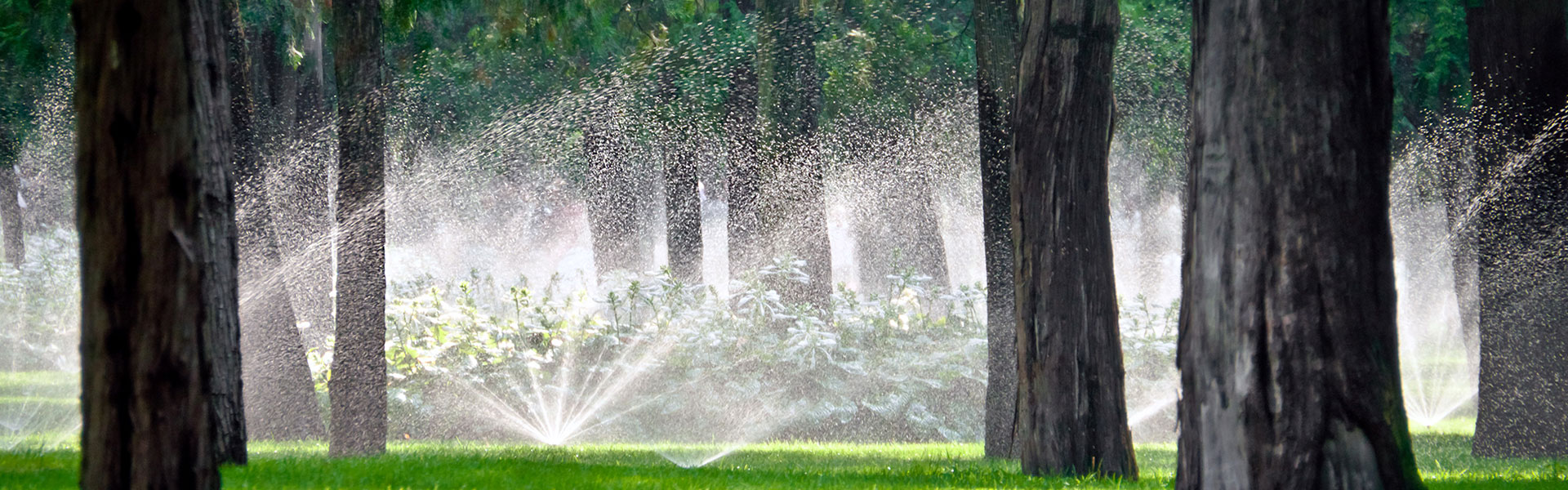 Need repairs or upgrading?  Contact Kelowna Irrigation Repair!