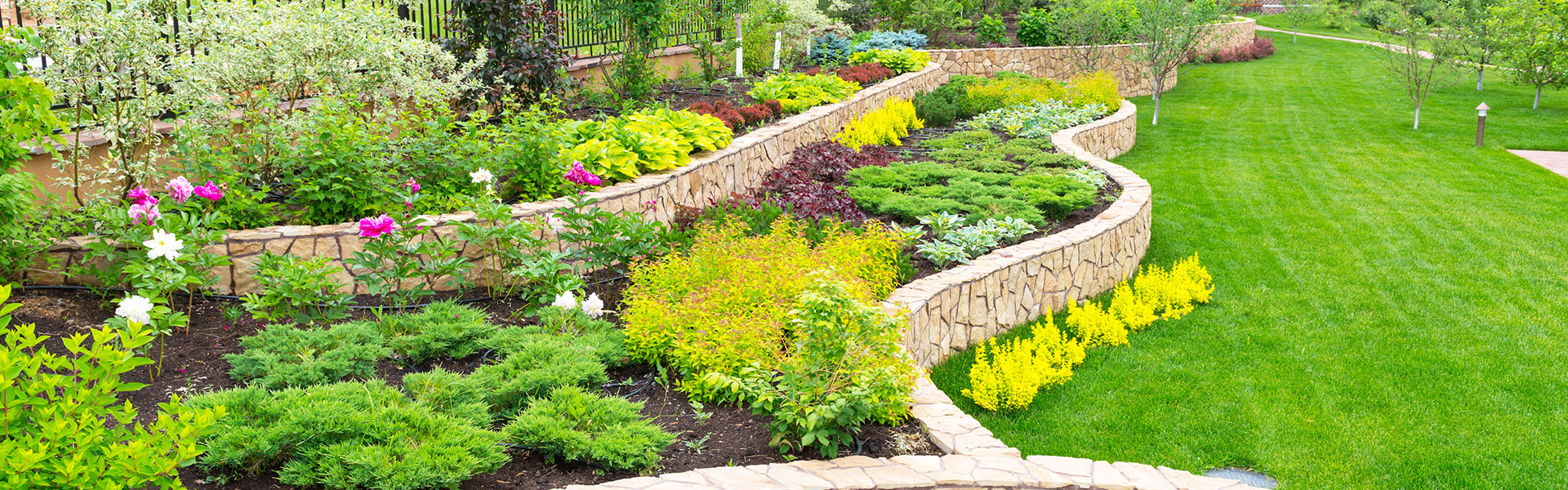 Dennis Clarke from Optimum Irrigation will help with your planning for your landscaping project.